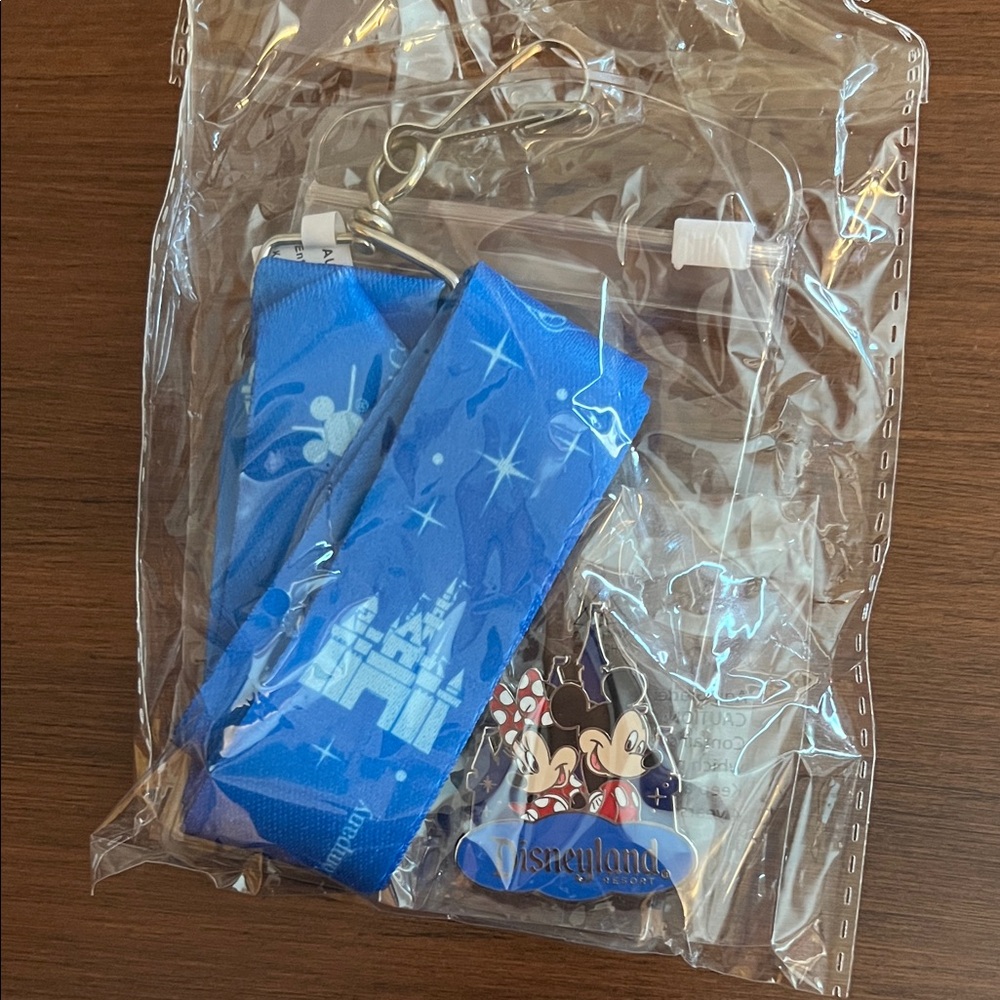 NWOT Disneyland Lanyard and Pin